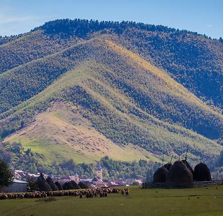 Picturesque Village In Transylvania Răşinari Rom bilde