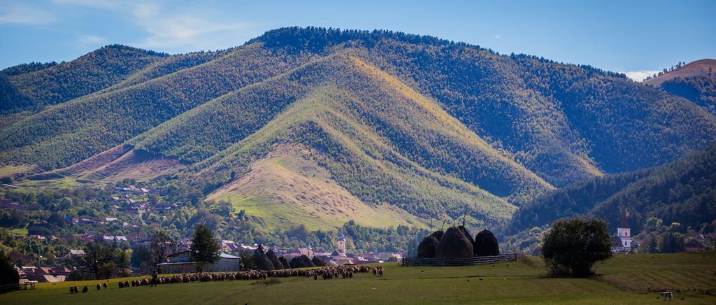 Picturesque Village In Transylvania Răşinari Rom bilde